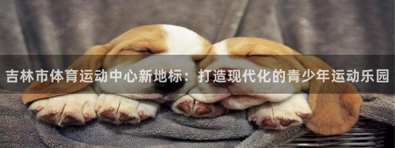 J9官网下载是干嘛的公司：吉林市体育运动中心新地标：