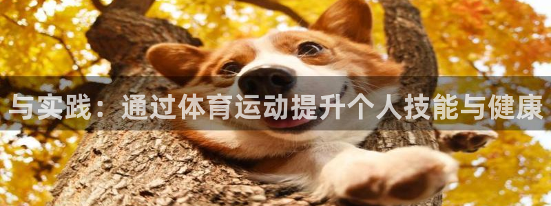J9官方正版app代理：与实践：通过体育运动提升个人
