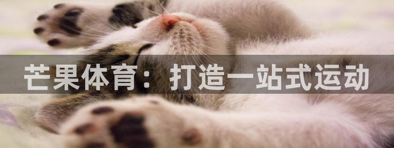 J9官方正版app集团官网首页网址：芒果体育：打造一