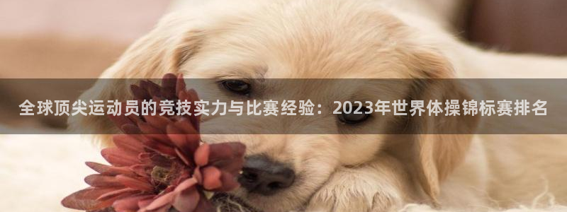 J9官网下载娱乐：全球顶尖运动员的竞技实力与比赛经验