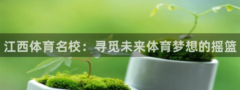 注册J9官方正版app：江西体育名校：寻觅未来体育梦