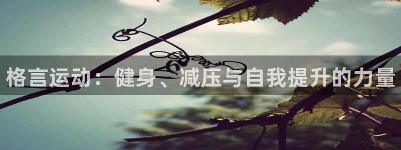 J9官网下载平台是正规平台吗知乎：格言运动：健身、减