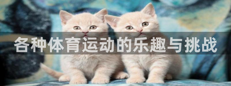 J9官网下载平台假的吗是真的吗：各种体育运动的乐趣与