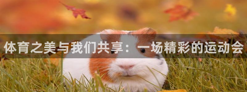 J9官网下载平台假的吗是真的吗：体育之美与我们共享：