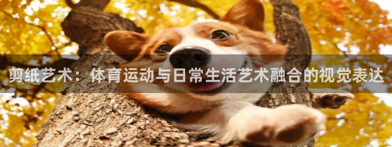 J9官网下载平台是正规平台吗：剪纸艺术：体育运动与日