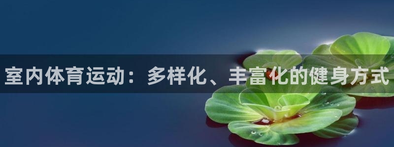J9官方正版app集团E.ON：室内体育运动：多样化