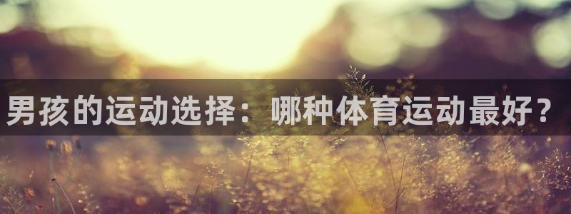 J9官方正版app代理：男孩的运动选择：哪种体育运动