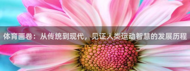 J9官网下载平台