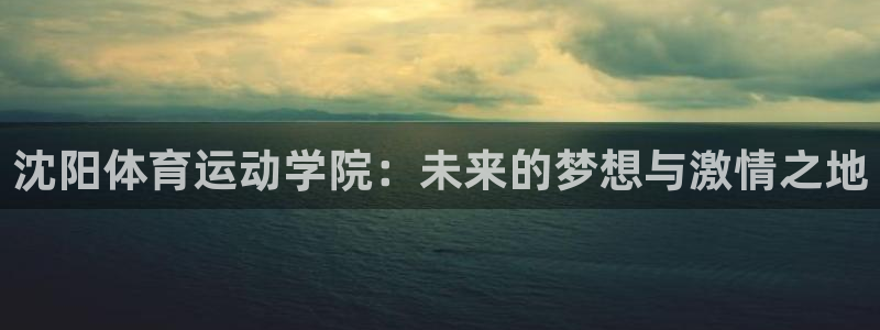 J9官网下载招商电话地址查询：沈阳体育运动学院：未来的梦想与
