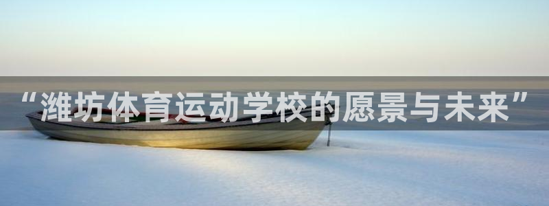 J9官网下载软件：“潍坊体育运动学校的愿景与未来”