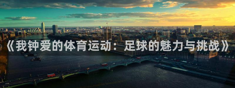 注册J9官方正版app：《我钟爱的体育运动：足球的魅