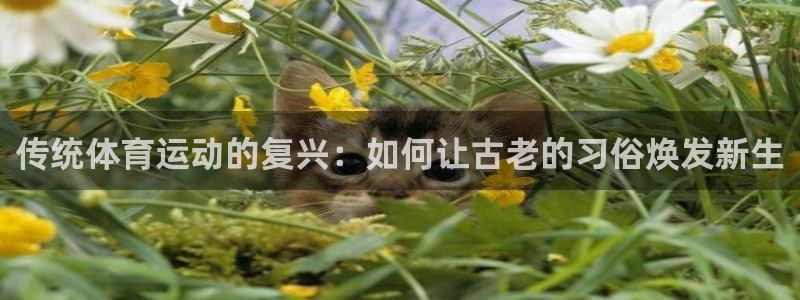 海南J9官网下载发展怎么样：传统体育运动的复兴：如何