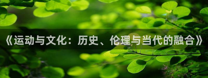 J9官网下载招商电话号码查询是多少：《运动与文化：历