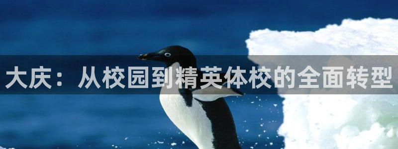 J9官网下载招商电话号码是多少号