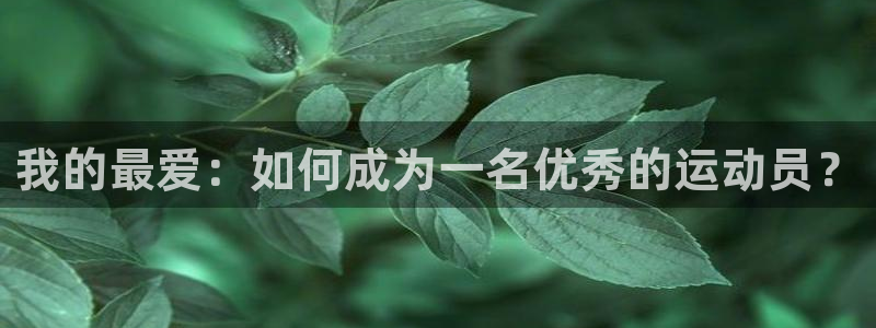 海南J9官网下载:我的最爱:如何成为一名优秀的运动员?