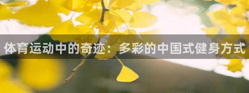 J9官网下载平台注册流程图:体育运动中的奇迹:多彩的中国式健