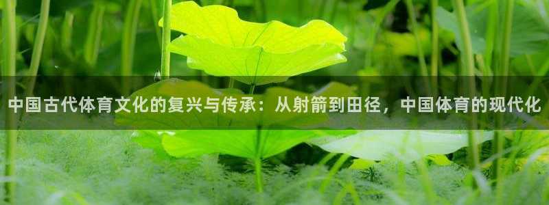 J9官网下载开户:中国古代体育文化的复兴与传承:从射箭到田径