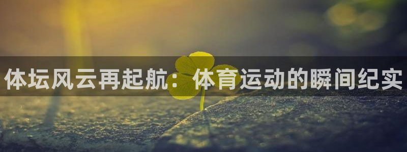 J9官网下载平台注册要钱吗安全吗：体坛风云再起航：体