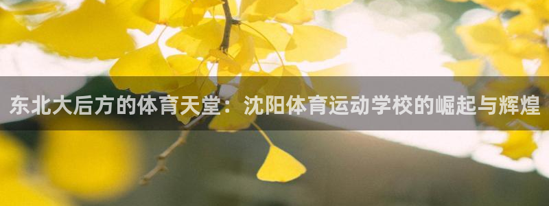 J9官网下载联系电话：东北大后方的体育天堂：沈阳体育