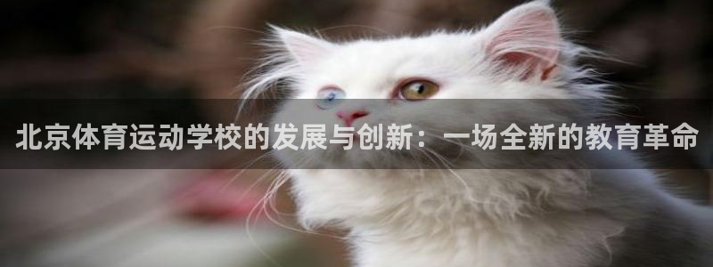 J9官网下载平台是正规平台吗知乎：北京体育运动学校的发展与创