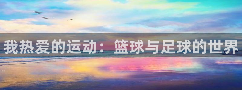 J9官网下载招商电话号码是多少号：我热爱的运动：篮球与足球的