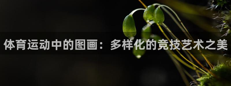 J9官方正版app娱乐平台：体育运动中的图画：多样化