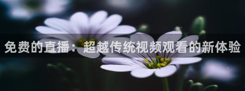 山猫直播在线直播：免费的直播：超越传统视频观看的新体验