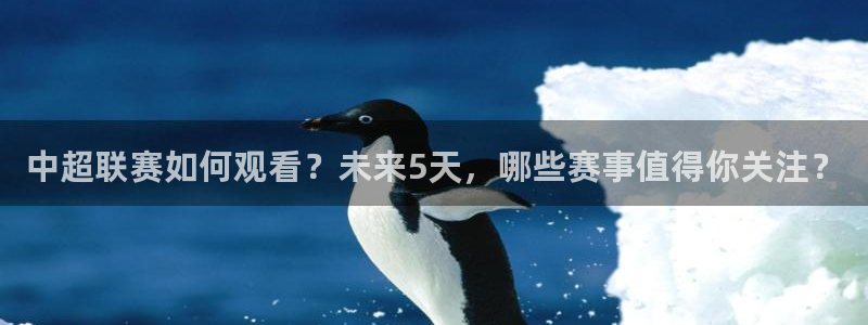 山猫免费nba直播视频直播：中超联赛如何观看？未来5天，哪些赛事值得你关注？