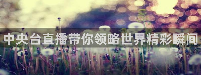 山猫tv篮球直播：中央台直播带你领略世界精彩瞬间