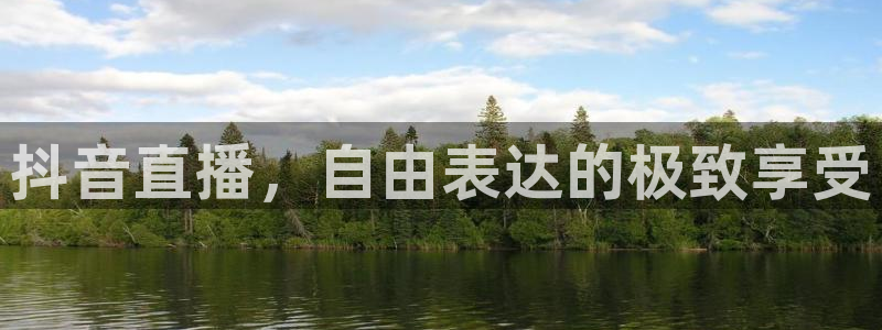 山猫足球免费直播高清视频