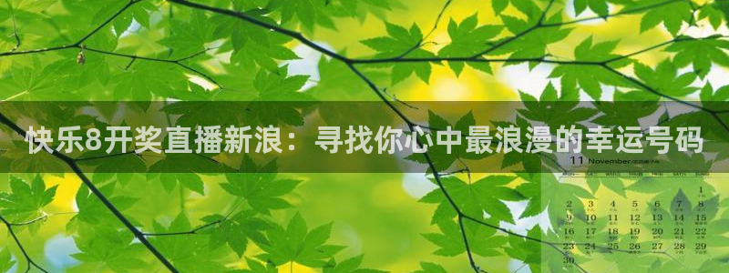 山猫免费直播nba比赛：快乐8开奖直播新浪：寻找你心中最浪漫的幸运号码